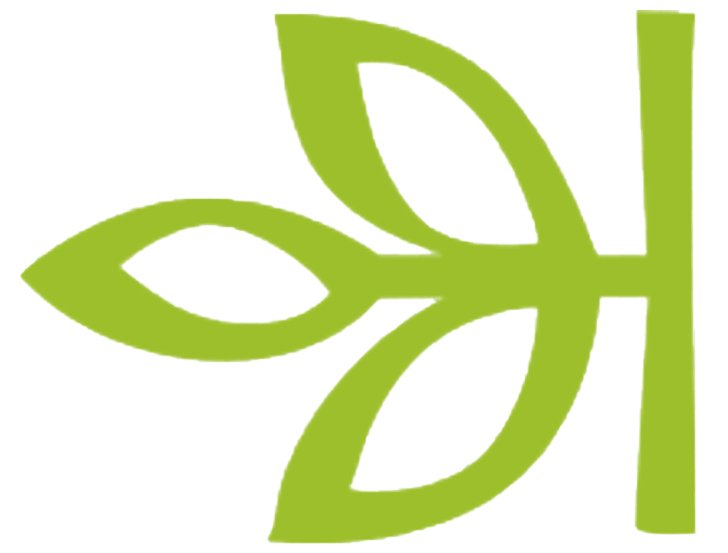 Ancestry.com Logo